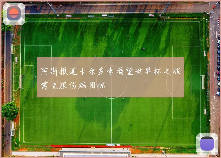 阿斯报道卡尔多索渴望世界杯之旅需克服伤病困扰