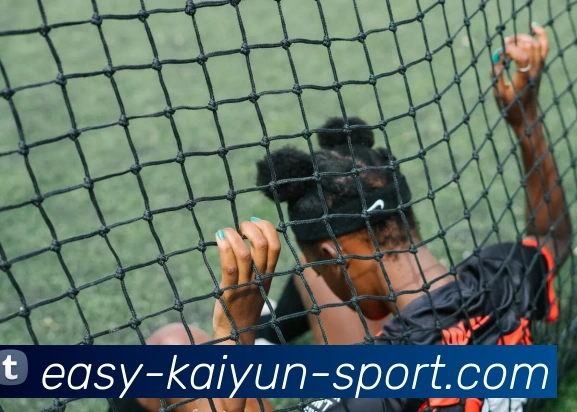 多媒体互动体验